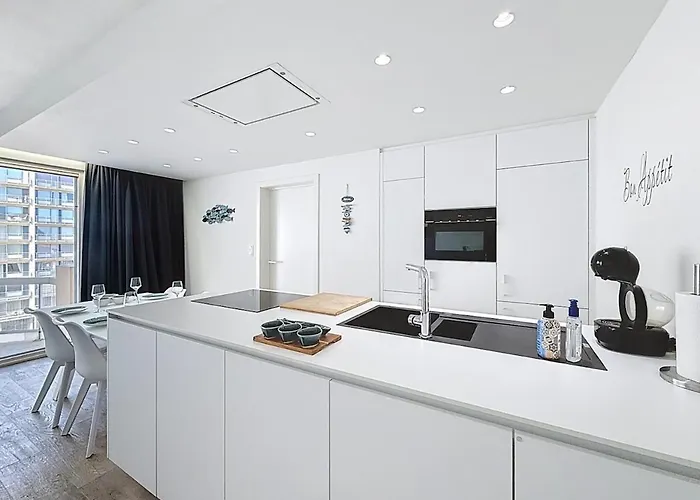 Modern Op 50 Meter De Wandeldijk * Nieuwpoort