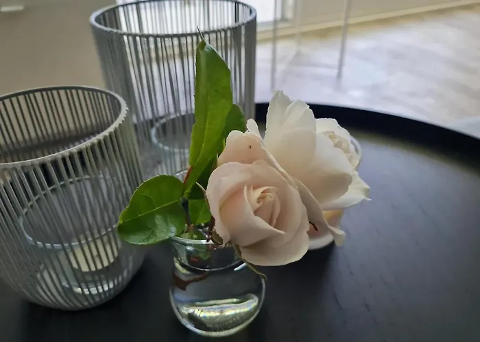 Modern Op 50 Meter De Wandeldijk Apartment